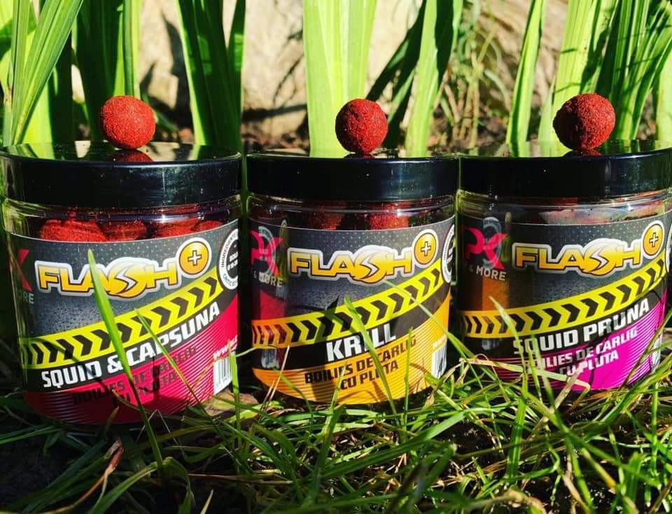 BOILIES FLASH PLUS SQUID & CAPSUNA 16/20MM