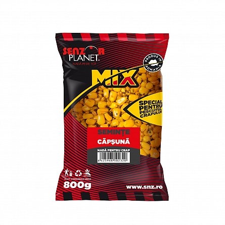 SEMINTE CAPSUNA 800g