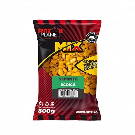 SEMINTE SCOICA 800g