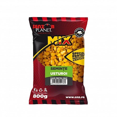 SEMINTE USTUROI 800g