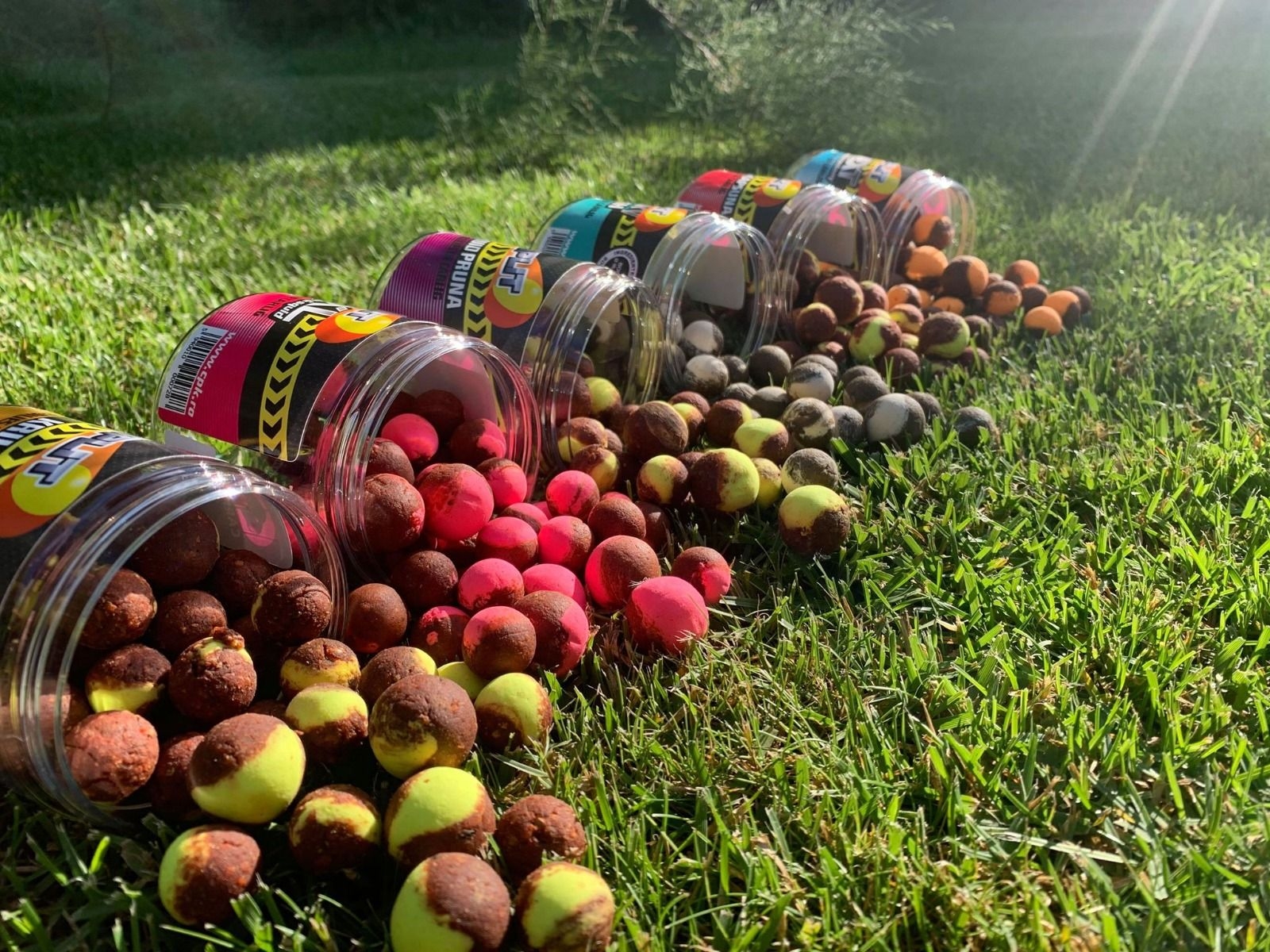 BOILIES DE CARLIG SPLIT SQUID & CAPSUNA 16/20MM